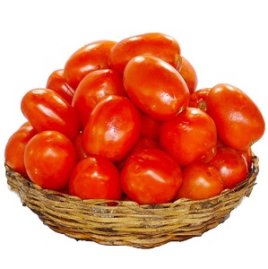 Fresh Tomatoes – Half Painter size